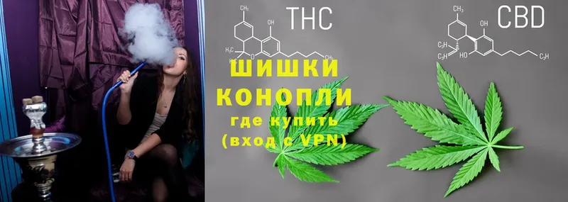 Каннабис OG Kush  Кирово-Чепецк 